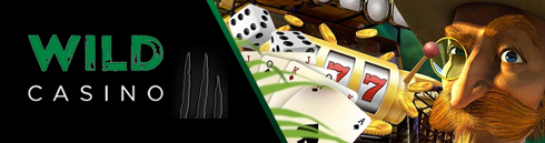 логотип заголовка wild casino