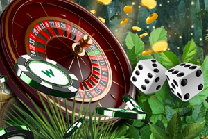 изображение функции дикого казино